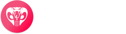 摩尔预测足球分析预测APP系统软件